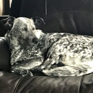 Meet your Posher, Linda